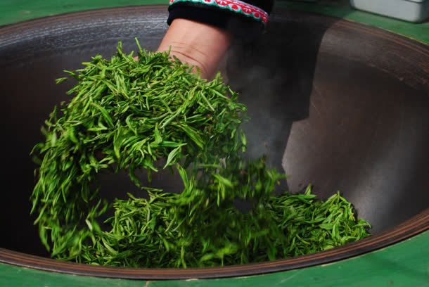 高清绿色茶叶炒茶叶免抠