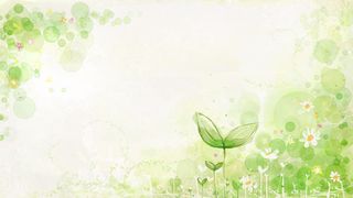 绿色小清新背景图片