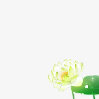 右下边角 荷花 荷叶免抠 右下边角 荷花 荷叶免抠