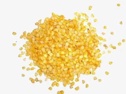 黄色辣椒籽免抠