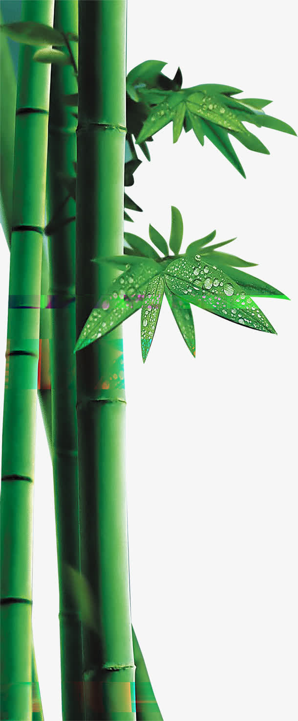 绿色清新竹林美景新鲜免抠