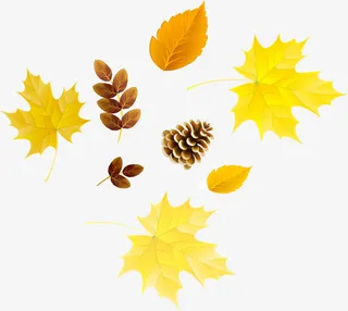 秋天枫叶装饰图案免抠