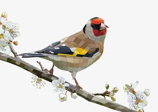 矢量晶格小鸟免抠