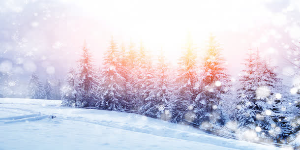 冬季雪花阳光风景免抠