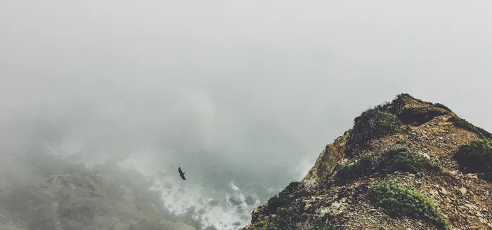 鹰击长空高清