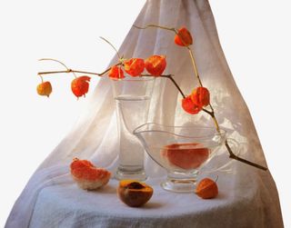 灯笼果果实免抠