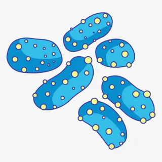 多个癌症病毒细胞体免抠