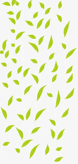 卡通绿色叶子免抠