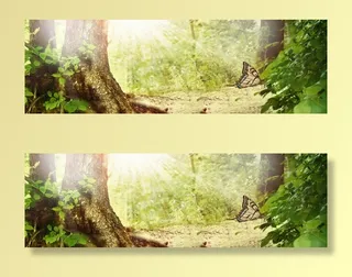 唯美大气森林海报背景免抠背景banner海报元素