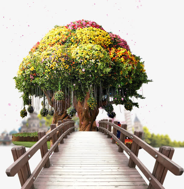 桥头上的许愿树免抠