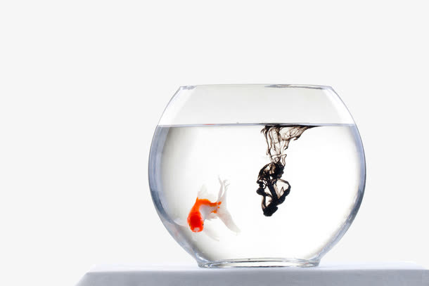 透明玻璃鱼缸免抠