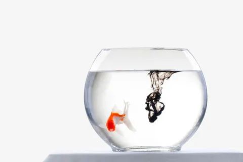 透明玻璃鱼缸免抠