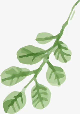 水彩合成绿色的树枝效果免抠