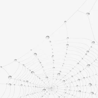 带水滴的蜘蛛网免抠