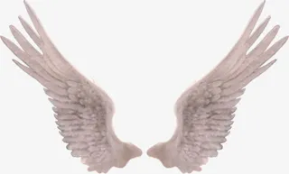 精美白色翅膀PNG透明背景素材