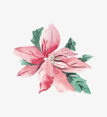 圣诞节手绘花纹素材免抠