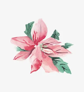 圣诞节手绘花纹素材免抠