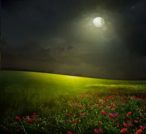 草原夜晚风景免抠