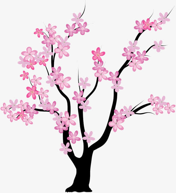 花朵免抠