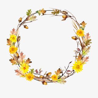 手绘黄色叶子树枝边框免抠