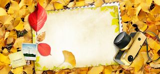 淘宝树叶枫叶背景墙信纸照片相机黄色海报高清