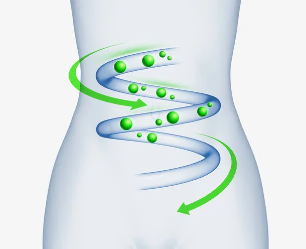 人物消化肠胃免抠手绘/卡通卡通元素