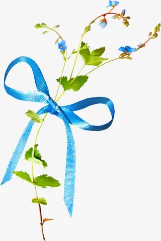 彩带装饰花枝免抠