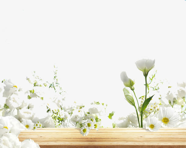 花模板主图背景