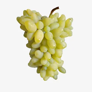 金手指葡萄免抠
