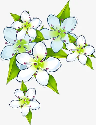 白色手绘花朵免抠