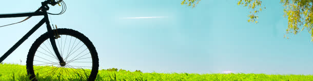 秋天背景banner
