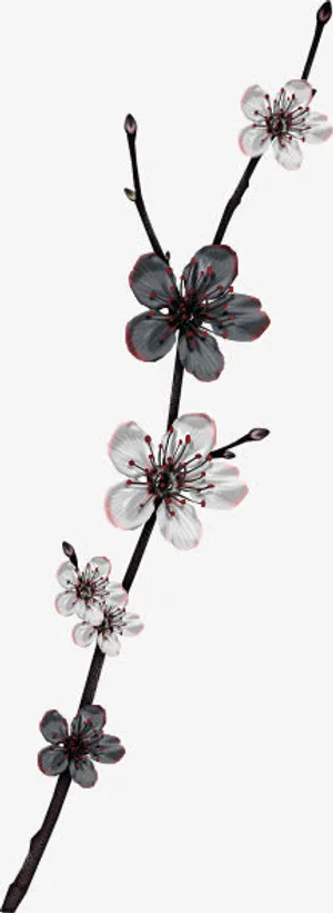 清冷暗色桃花盛开枝桠免抠