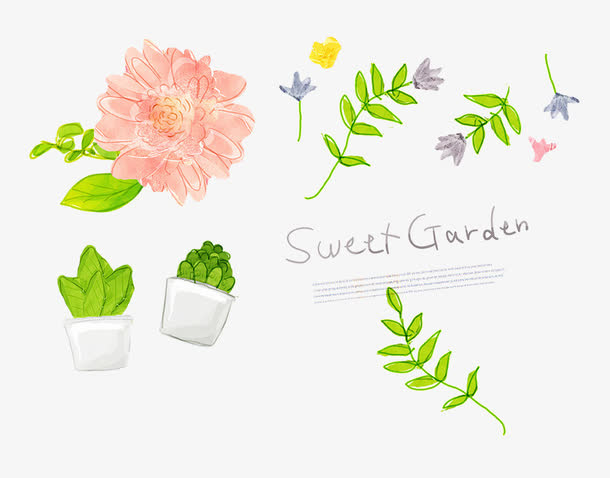 手绘花朵免抠