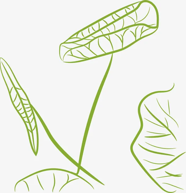 卡通线条荷叶装饰插画免抠