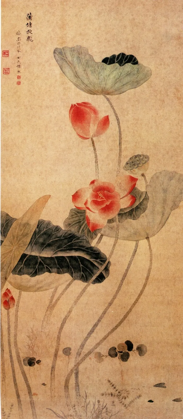 荷花竖版国画高清