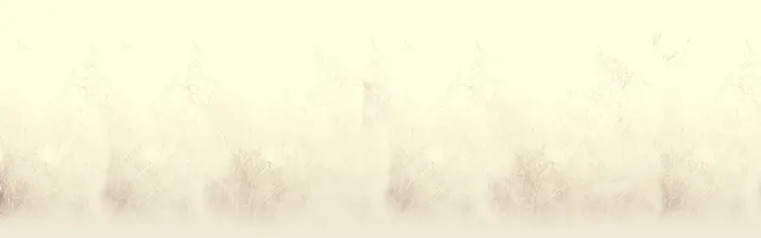 雾霾背景高清