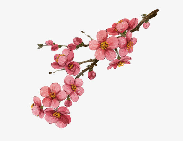 手绘桃花免抠