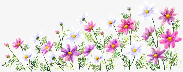 夏日清新小花设计免抠