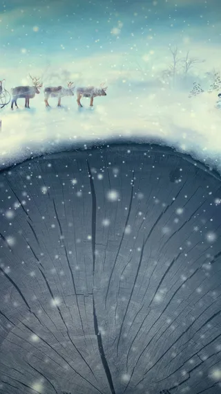 冬季雪鹿简约背景高清