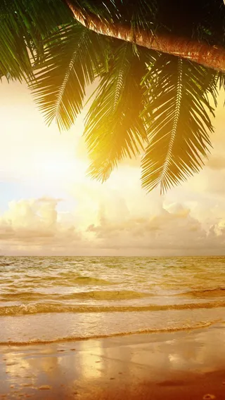 清新海滩H5背景高清