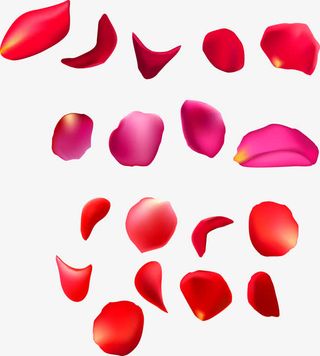 飘浮的玫瑰花瓣免抠