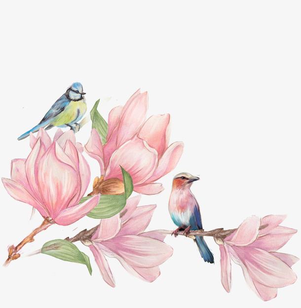 粉色花朵免抠
