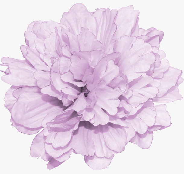 鲜花元素花卉免抠