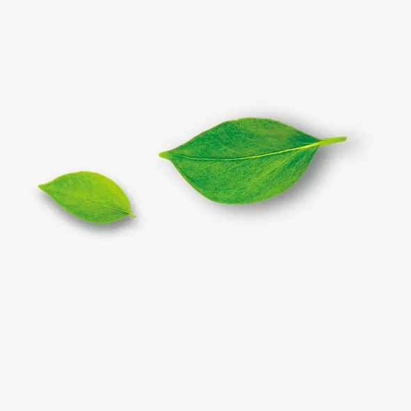 漂浮绿叶免抠