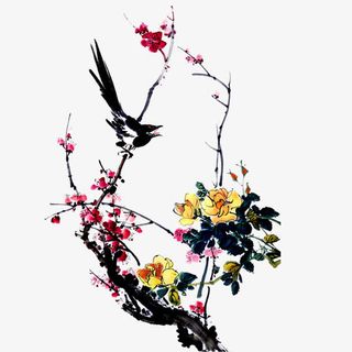 梅花免抠