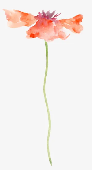 手绘水彩花朵免抠