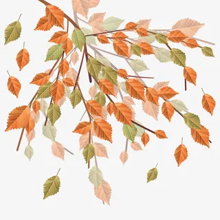 树枝上的落叶免抠