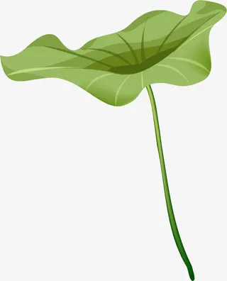 荷叶插画景观素材免抠
