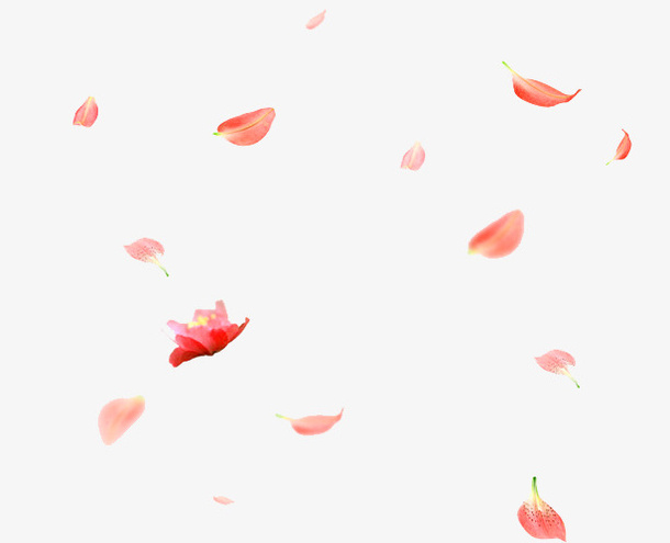 飘落花瓣png免抠