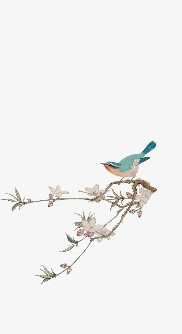 手绘花枝喜鹊图片免抠